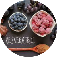 resveratrol