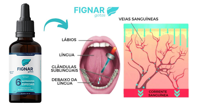 fignar site oficial