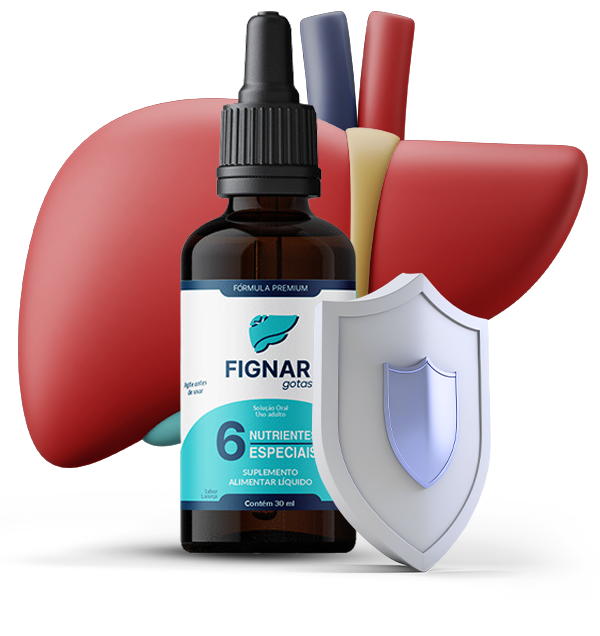 fignar-principal-
